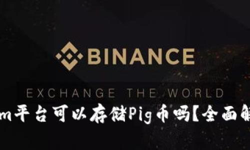 ### Tokenim平台可以存储Pig币吗？全面解析与使用指南