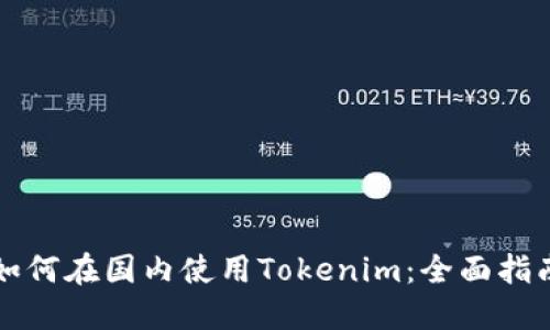 如何在国内使用Tokenim：全面指南