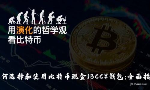 如何选择和使用比特币现金（BCC）钱包：全面指南