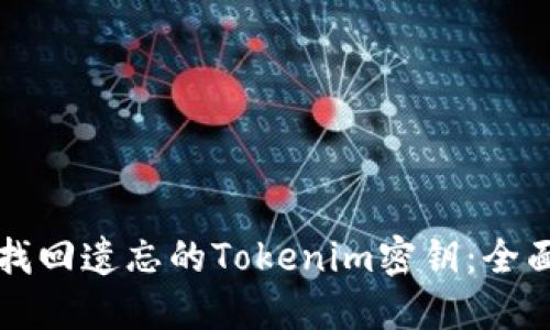 如何找回遗忘的Tokenim密钥：全面指南