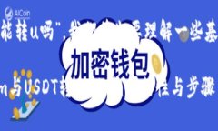 关于“tokenim能转u吗”，我们首先要理解一些基本