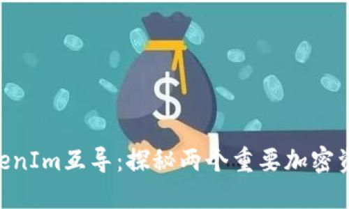 SumToken与TokenIm互导：探秘两个重要加密资产的关联与应用