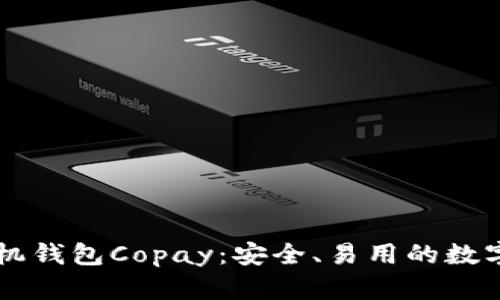 了解比特币手机钱包Copay：安全、易用的数字货币管理工具