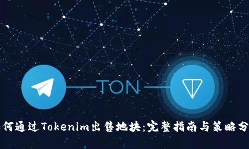 如何通过Tokenim出售地块：完整指南与策略分析
