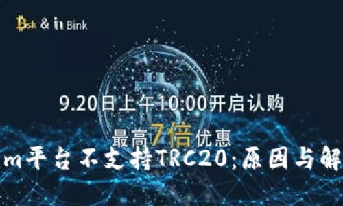 Tokenim平台不支持TRC20：原因与解决方案