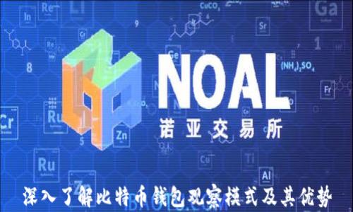 
深入了解比特币钱包观察模式及其优势