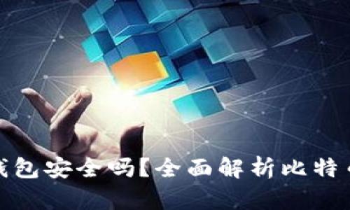 登录比特币钱包安全吗？全面解析比特币钱包安全性