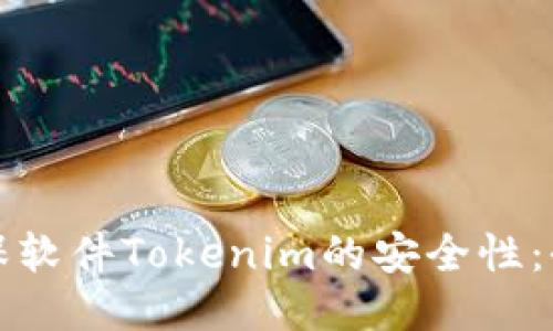 如何确保软件Tokenim的安全性：全面指南