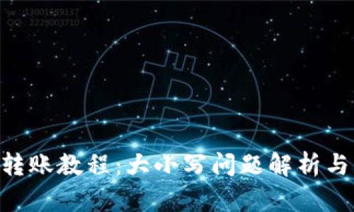 Tokenim转账教程：大小写问题解析与解决方案