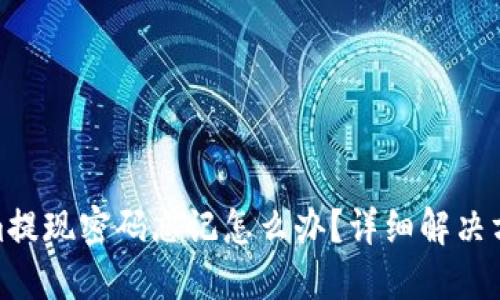 : Tokenim提现密码忘记怎么办？详细解决方案与技巧