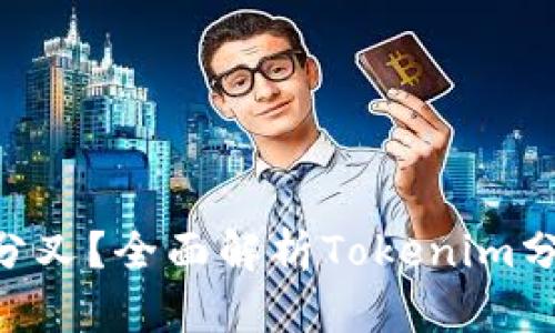 什么是Tokenim分叉？全面解析Tokenim分叉的概念与影响